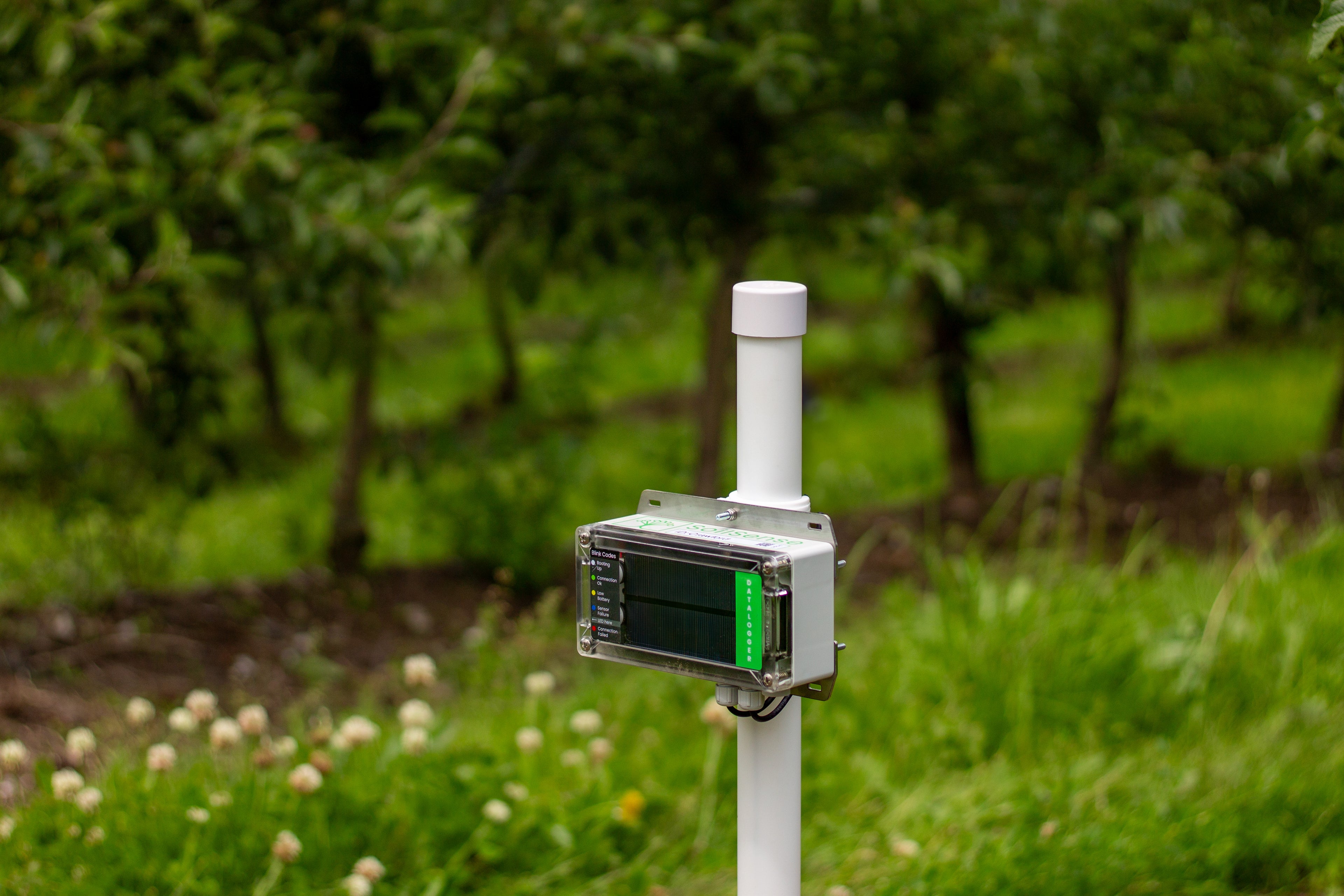 SoilSense Smart Irrigation Solution - Annual Subscription
